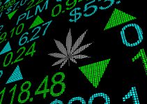 Emerging Cannabis Market  Presents Opportunities for Payments Trailblazers